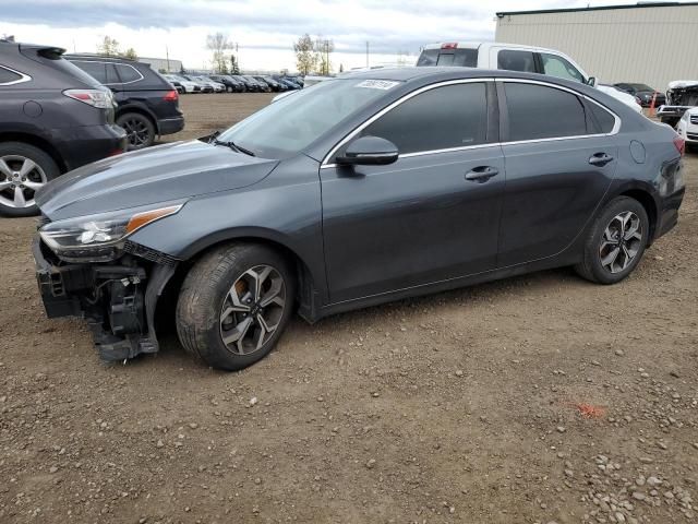 2019 KIA Forte EX