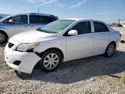 Toyota Corolla salvage cars for sale: 2009 Toyota Corolla Base