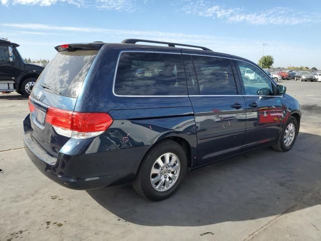 2010 Honda Odyssey EXL