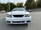 2001 Ford Mustang Cobra SVT