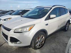 Ford Escape salvage cars for sale: 2014 Ford Escape SE