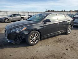 Hyundai Sonata salvage cars for sale: 2019 Hyundai Sonata SE