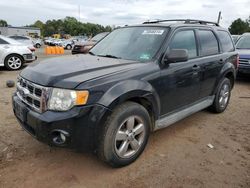 Ford Escape salvage cars for sale: 2012 Ford Escape XLT