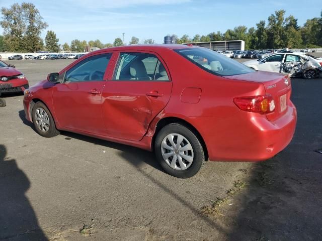 2010 Toyota Corolla Base