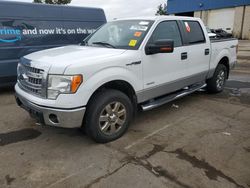 Ford salvage cars for sale: 2013 Ford F150 Supercrew