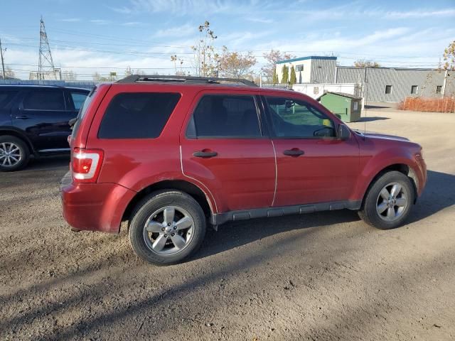 2012 Ford Escape XLT