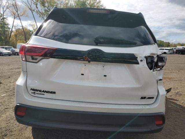 2019 Toyota Highlander SE