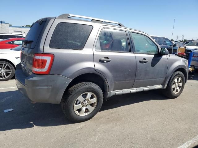 2010 Ford Escape Limited