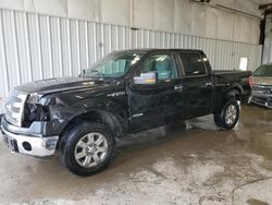 Ford f-150 salvage cars for sale: 2013 Ford F150 Supercrew