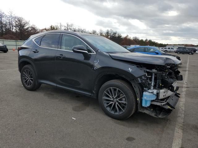 2024 Lexus NX 350 Base