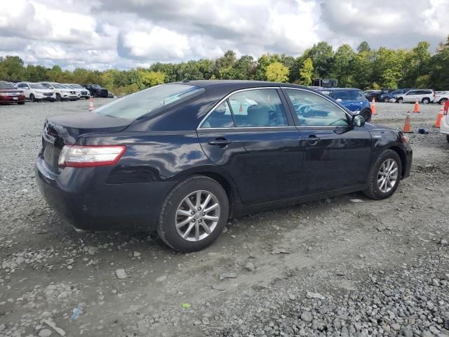 2010 Toyota Camry Hybrid