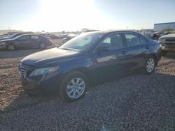 Toyota Camry salvage cars for sale: 2007 Toyota Camry Hybrid