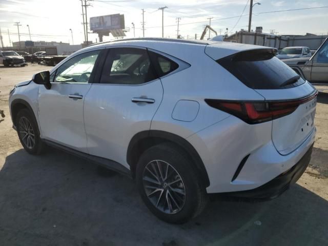 2024 Lexus NX 250 Premium