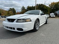 Salvage cars for sale from Copart North Billerica, MA: 2001 Ford Mustang Cobra SVT