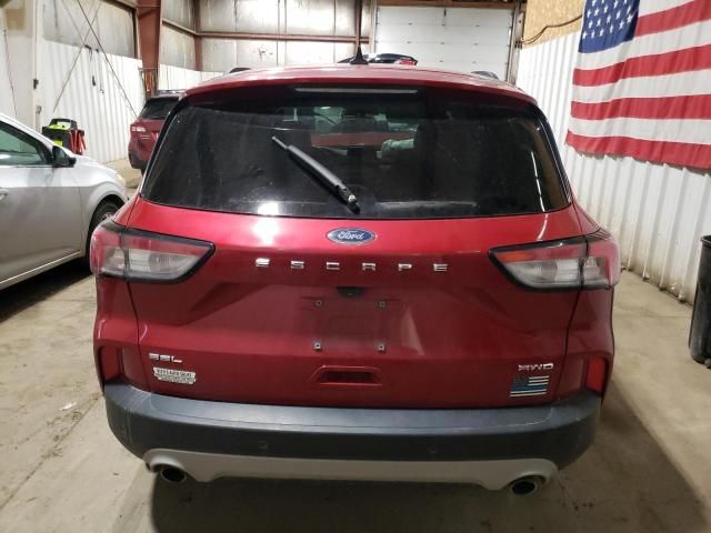 2021 Ford Escape SEL