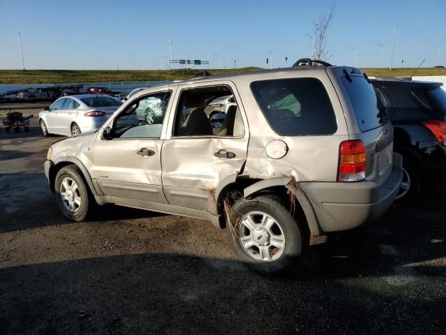 2001 Ford Escape XLT