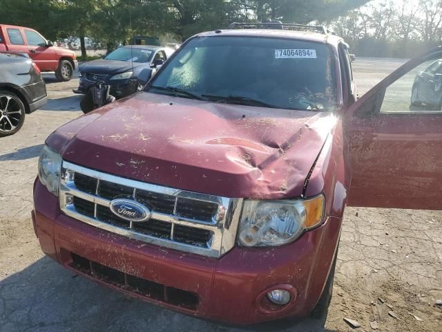 2009 Ford Escape XLT