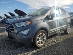 Ford Ecosport salvage cars for sale: 2019 Ford Ecosport SE