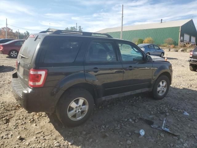 2009 Ford Escape XLT