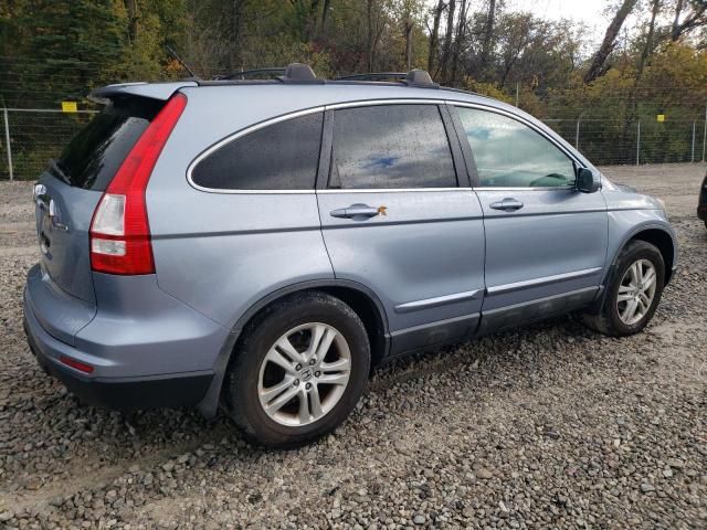 2010 Honda CR-V EXL