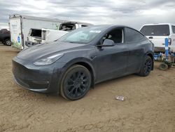 2024 Tesla Model Y en venta en Brighton, CO