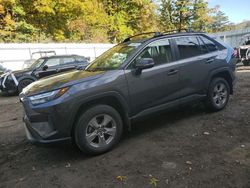 Toyota rav4 salvage cars for sale: 2023 Toyota Rav4 XLE