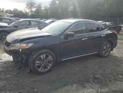 Honda Crosstour salvage cars for sale: 2013 Honda Crosstour EXL