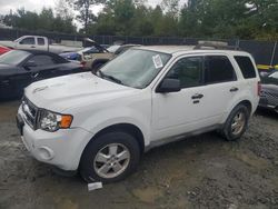 Ford Escape salvage cars for sale: 2010 Ford Escape XLT