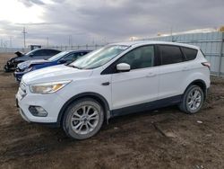 Ford Escape salvage cars for sale: 2017 Ford Escape SE