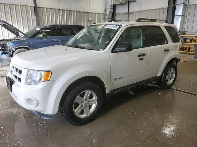 2011 Ford Escape Hybrid