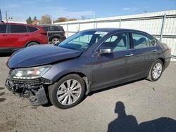 Honda Accord salvage cars for sale: 2013 Honda Accord EXL