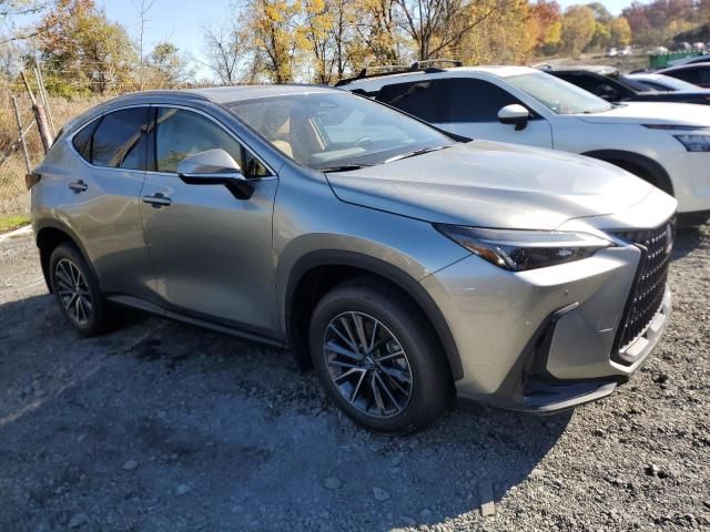 2025 Lexus NX 350H Base