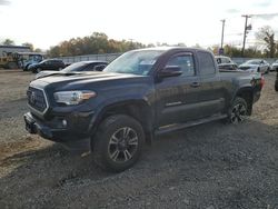 Toyota Tacoma Vehiculos salvage en venta: 2019 Toyota Tacoma Access Cab