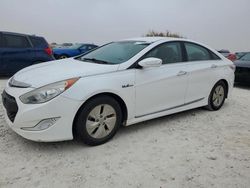 Hyundai Sonata salvage cars for sale: 2015 Hyundai Sonata Hybrid