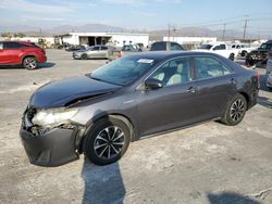 Toyota salvage cars for sale: 2012 Toyota Camry Hybrid