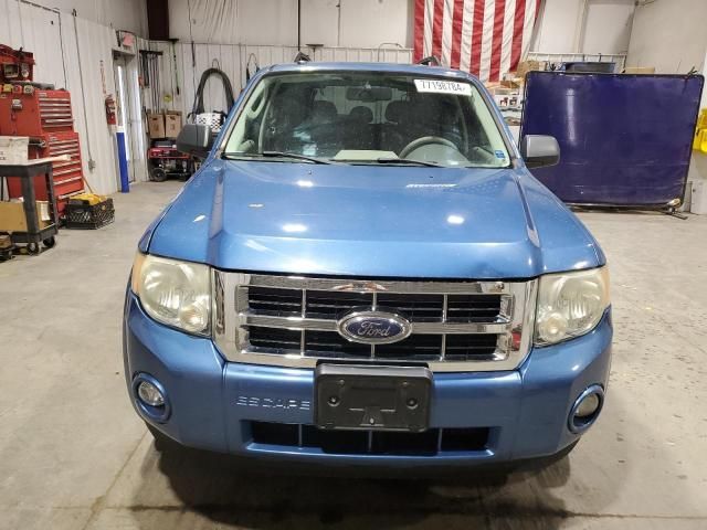 2009 Ford Escape XLT