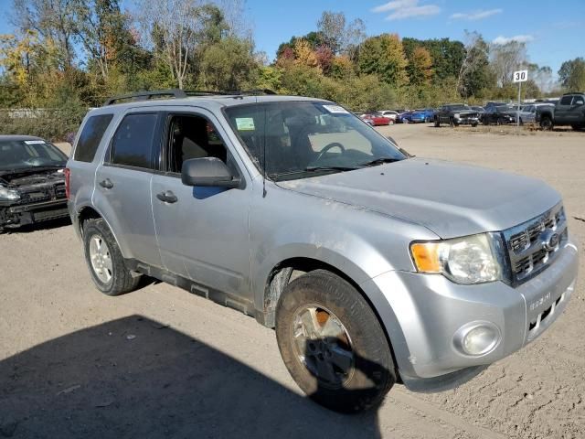 2011 Ford Escape XLT