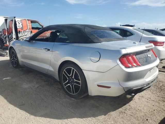 2019 Ford Mustang