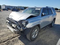 Toyota 4runner salvage cars for sale: 2019 Toyota 4runner SR5