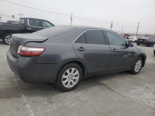 2009 Toyota Camry Hybrid