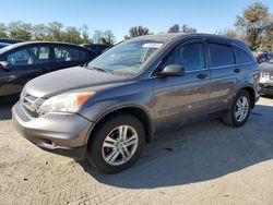 Honda crv salvage cars for sale: 2011 Honda CR-V EX