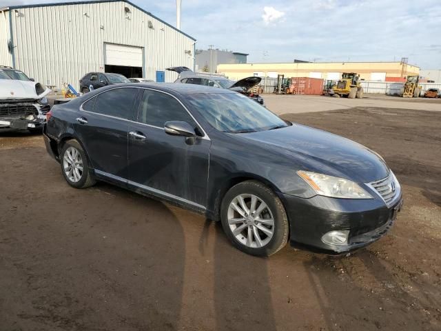 2010 Lexus ES 350