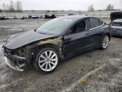 Tesla salvage cars for sale: 2019 Tesla Model 3