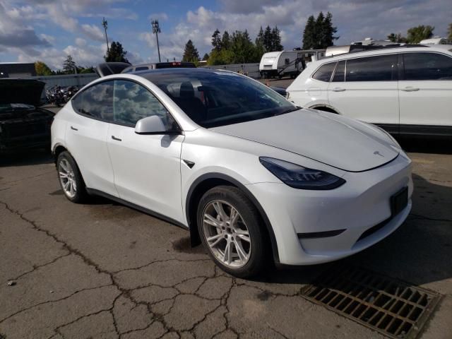 2020 Tesla Model Y