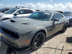 Dodge Challenger salvage cars for sale: 2023 Dodge Challenger R/T Scat Pack