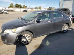 Toyota salvage cars for sale: 2009 Toyota Corolla Base