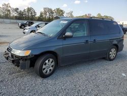 Honda Odyssey ex salvage cars for sale: 2004 Honda Odyssey EX