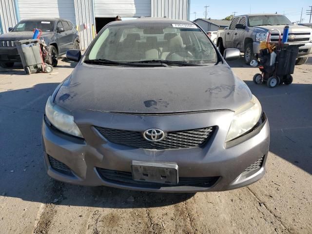 2009 Toyota Corolla Base