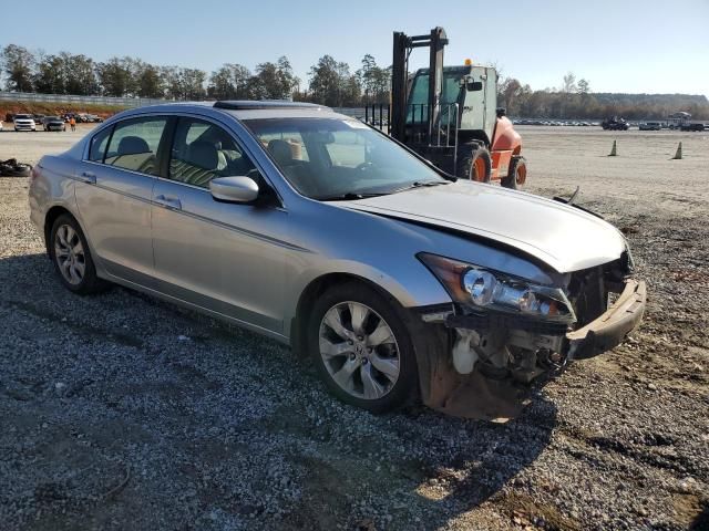 2009 Honda Accord EXL