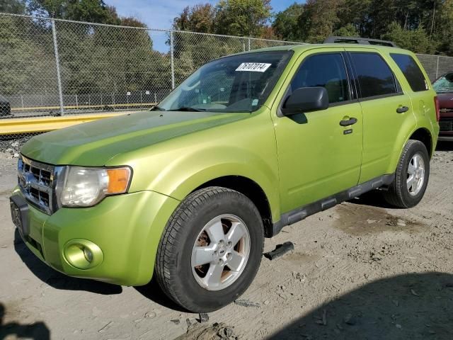 2011 Ford Escape XLT